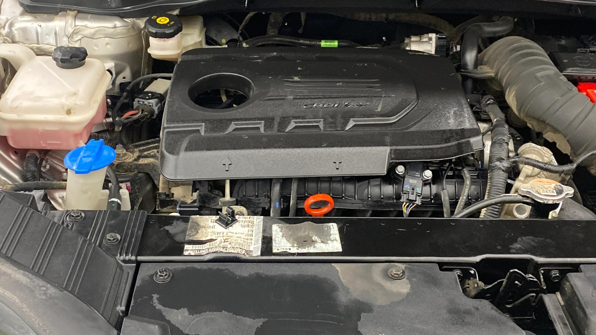 Used 2023 Kia Carens Used 2023 Kia Carens