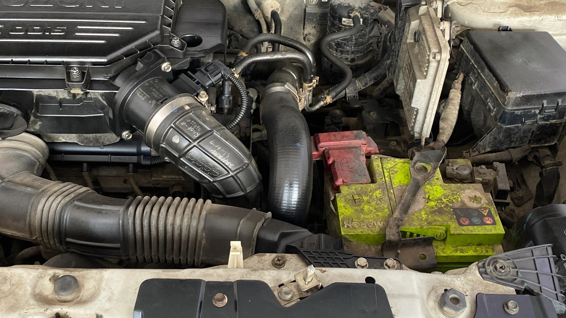 Used 2019 Maruti Suzuki 1000 Used 2019 Maruti Suzuki 1000
