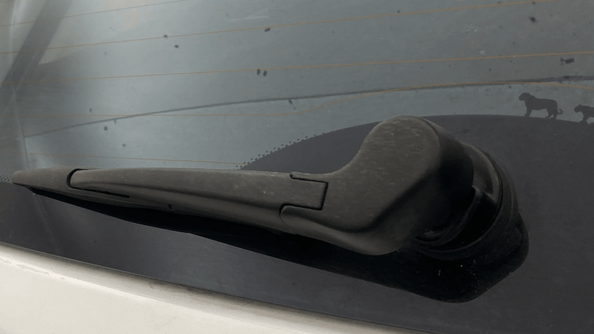 Used 2023 Tata Nexon Used 2023 Tata Nexon
