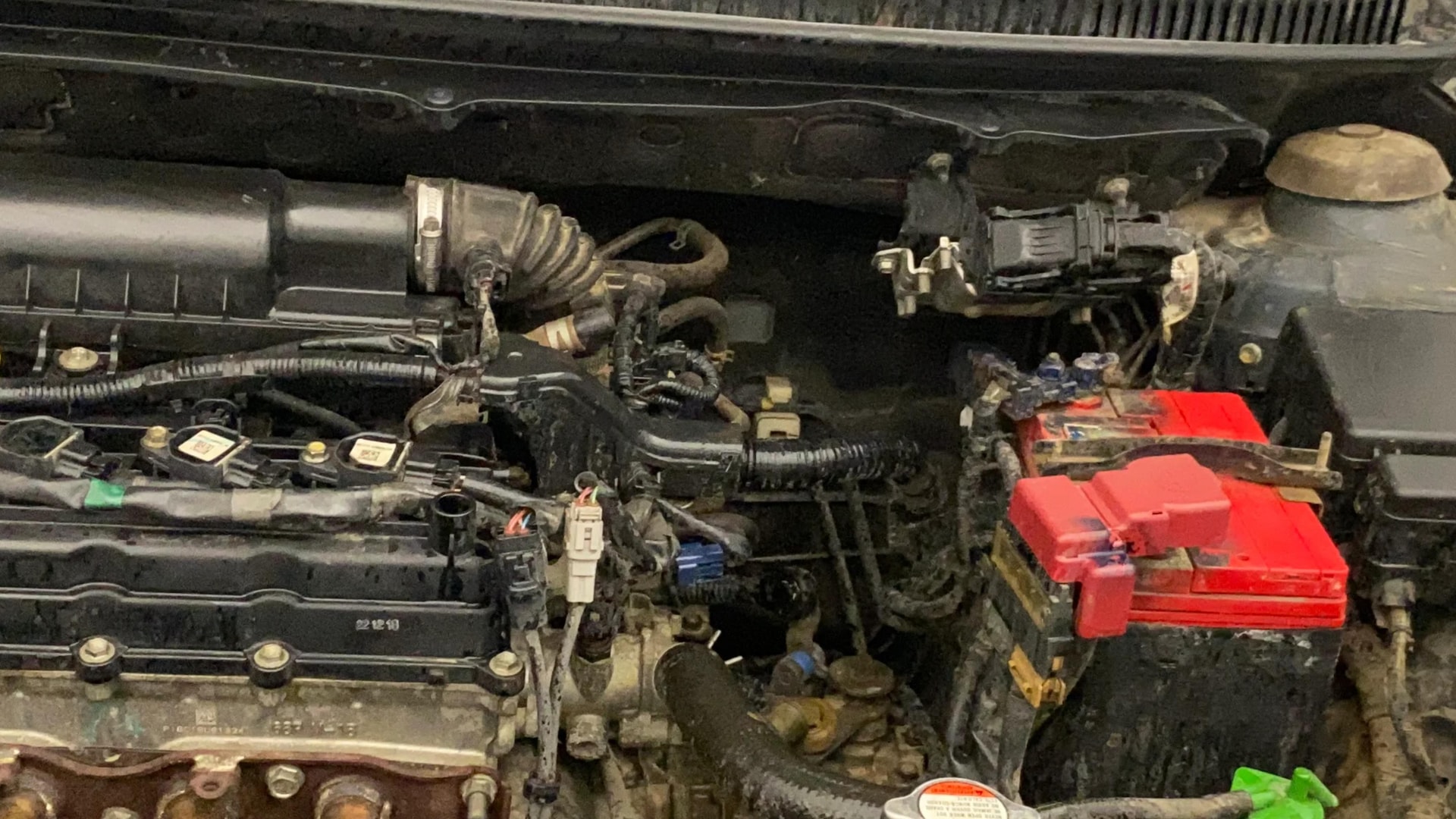 Used 2019 Maruti Suzuki 1000 Used 2019 Maruti Suzuki 1000