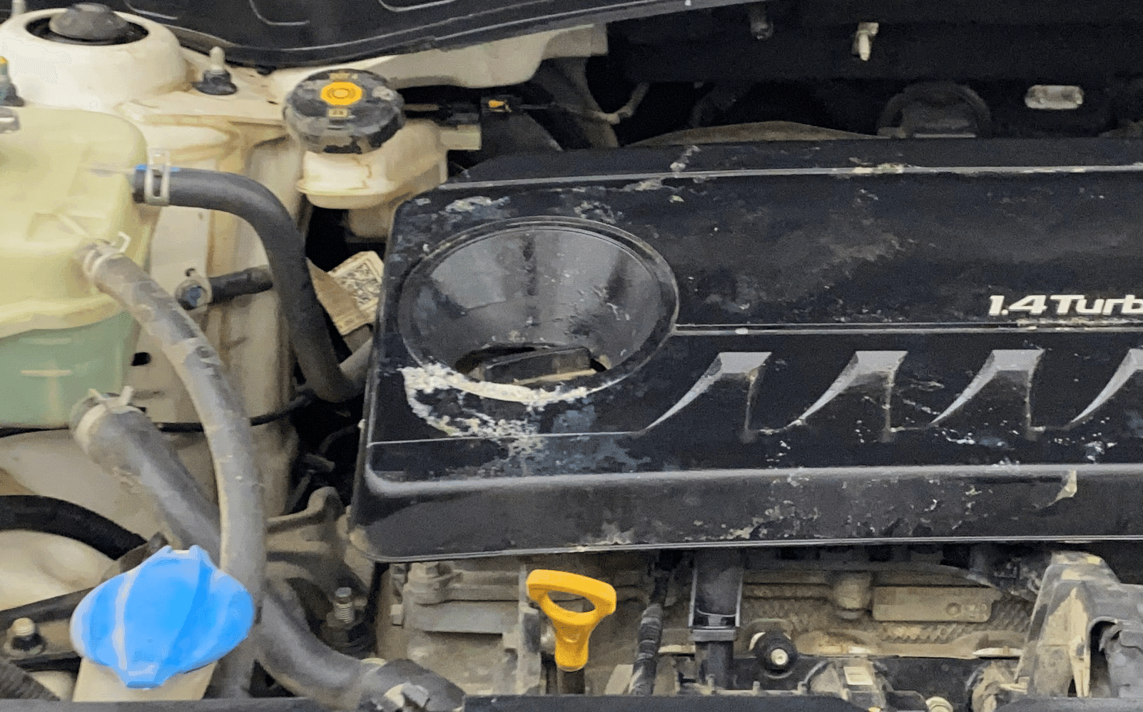 Used 2020 Kia Seltos Used 2020 Kia Seltos