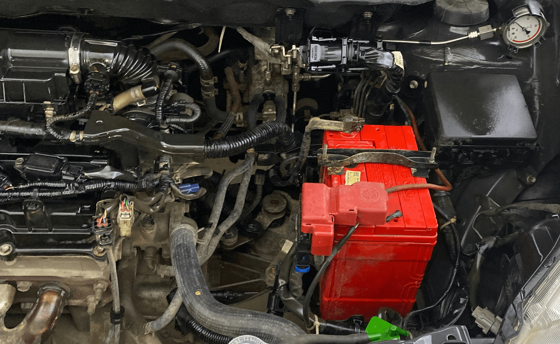 Used 2021 Maruti Suzuki 1000 Used 2021 Maruti Suzuki 1000