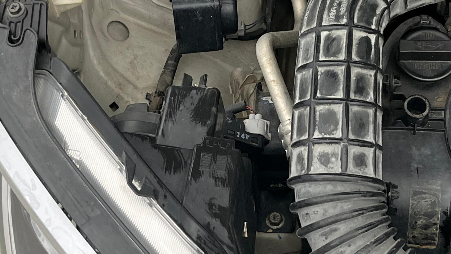 View 2019 Maruti Suzuki 1000 Base Variant Image 3 Used 2019 Maruti Suzuki 1000 Base Variant Image 3