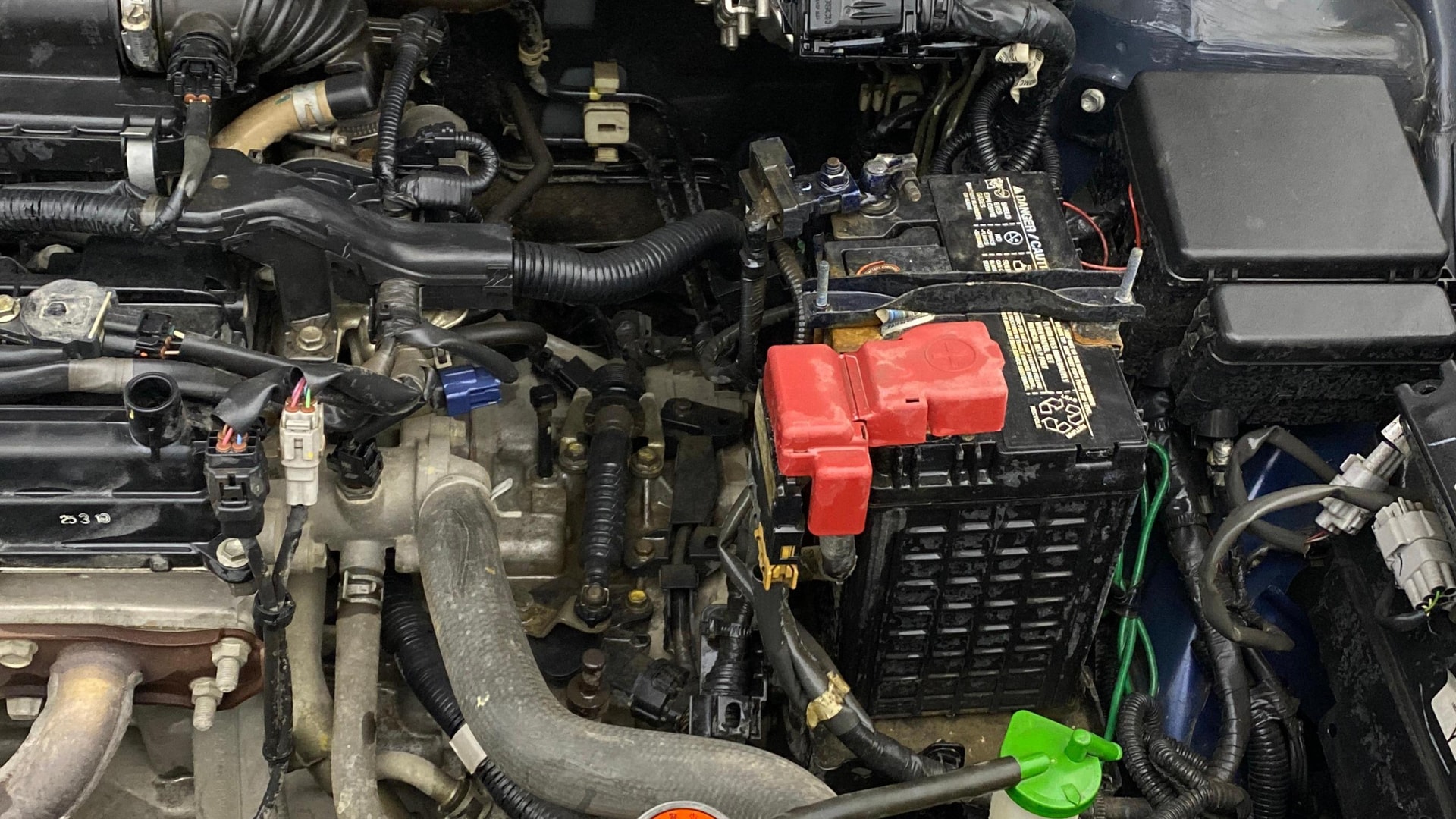 Used 2019 Maruti Suzuki 1000 Used 2019 Maruti Suzuki 1000