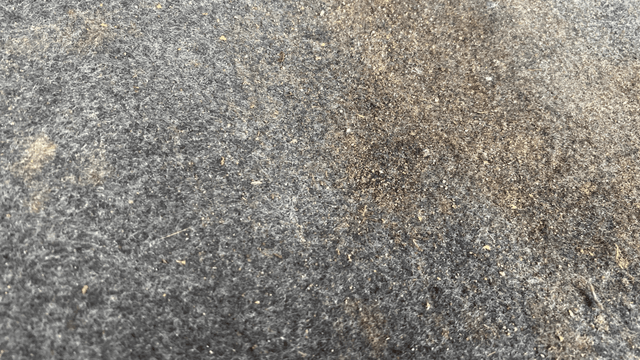 View Volkswagen Ameo Image 10 Used Volkswagen Ameo Image 10