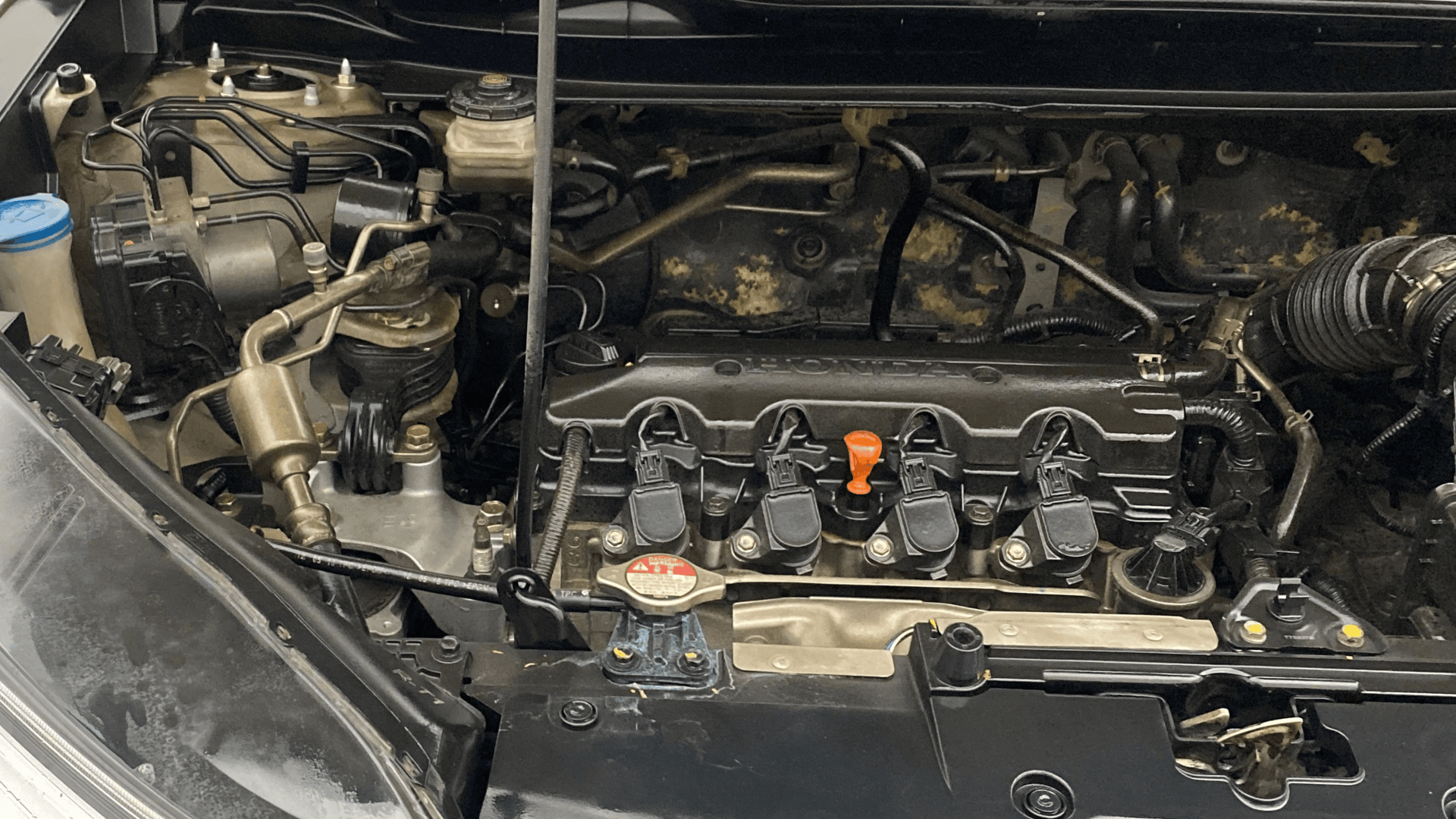 Used 2019 Honda CR-V Used 2019 Honda CR-V