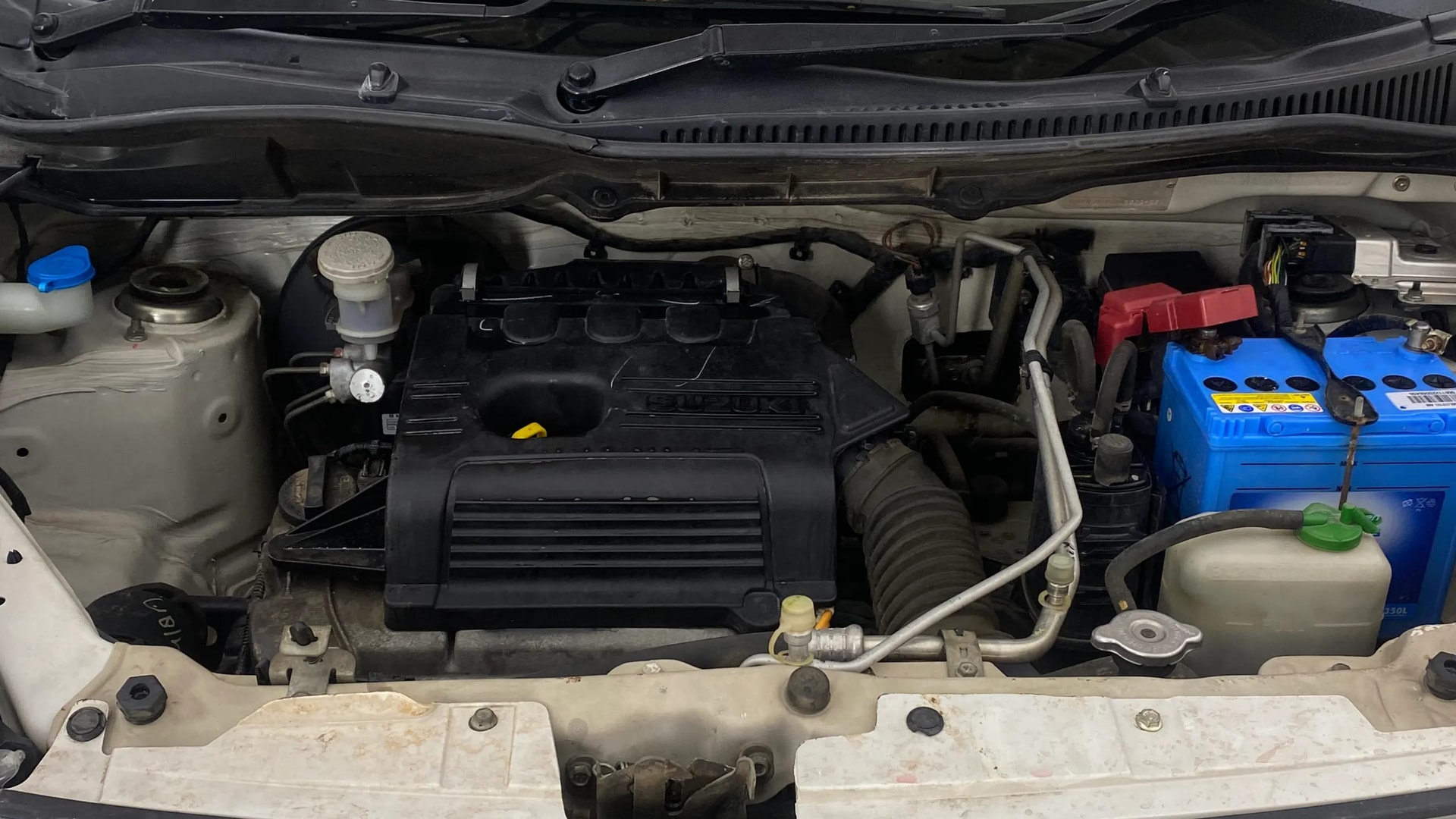 View 2018 Maruti Suzuki 1000 Base Variant Image 40 Used 2018 Maruti Suzuki 1000 Base Variant Image 40