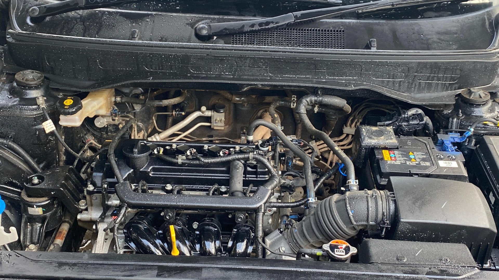 View 2023 Hyundai Venue S 1.2 Petrol Image 40 Used 2023 Hyundai Venue S 1.2 Petrol Image 40