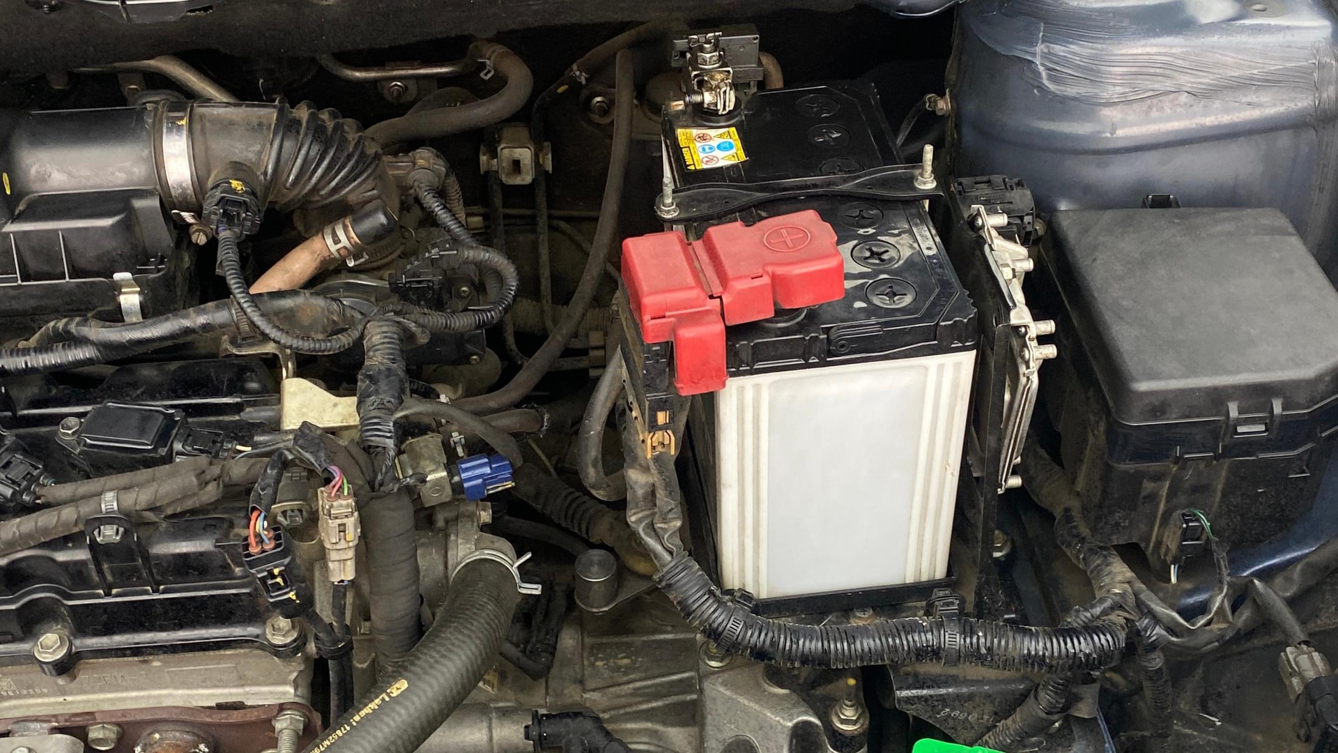 View 2019 Maruti Suzuki 1000 Base Variant Image 14 Used 2019 Maruti Suzuki 1000 Base Variant Image 14