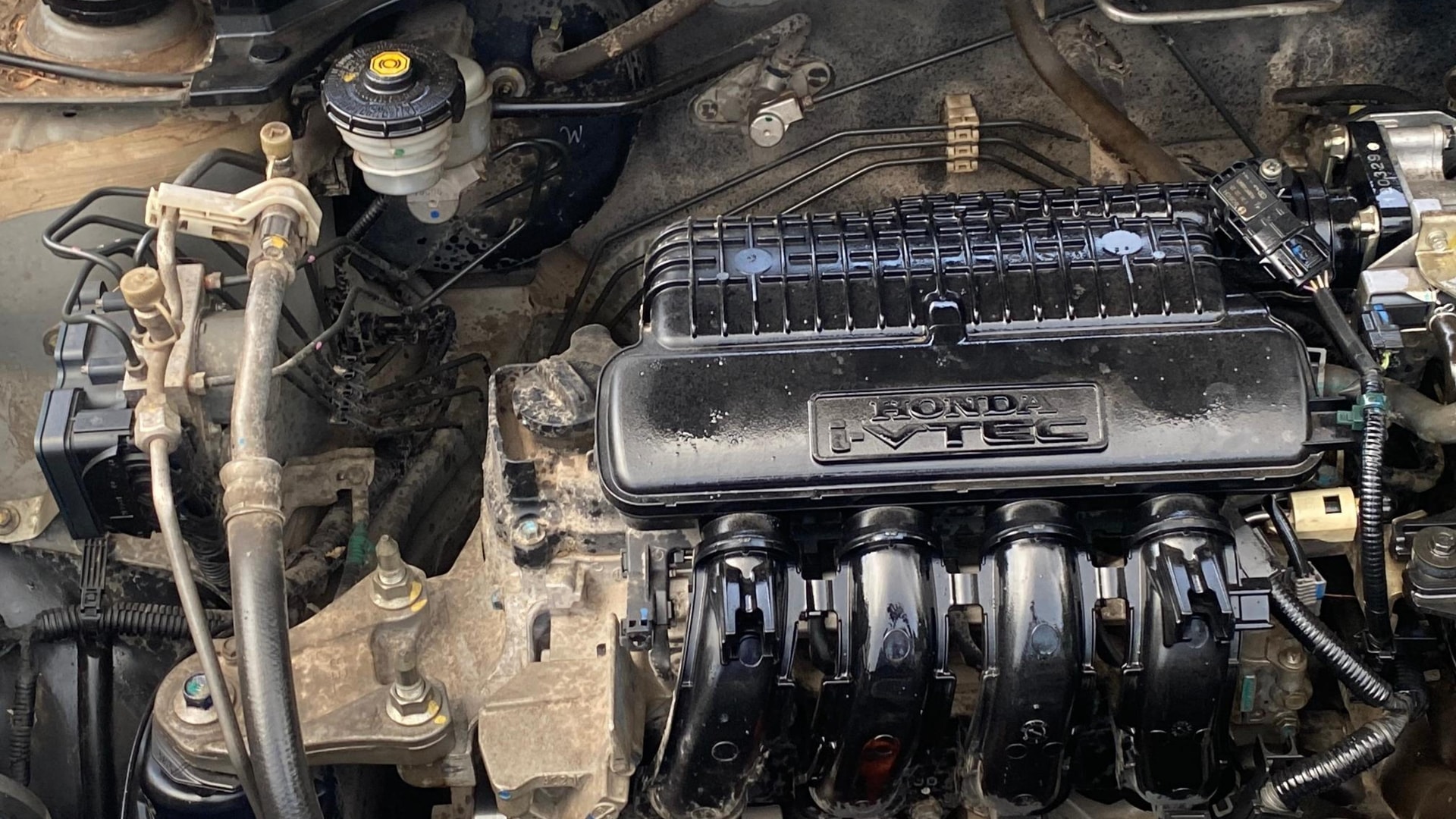 View 2019 Honda Amaze E MT Petrol BS IV Image 3 Used 2019 Honda Amaze E MT Petrol BS IV Image 3