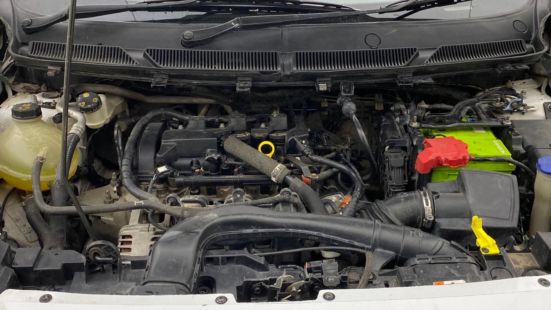 Used 2019 Ford Freestyle Used 2019 Ford Freestyle