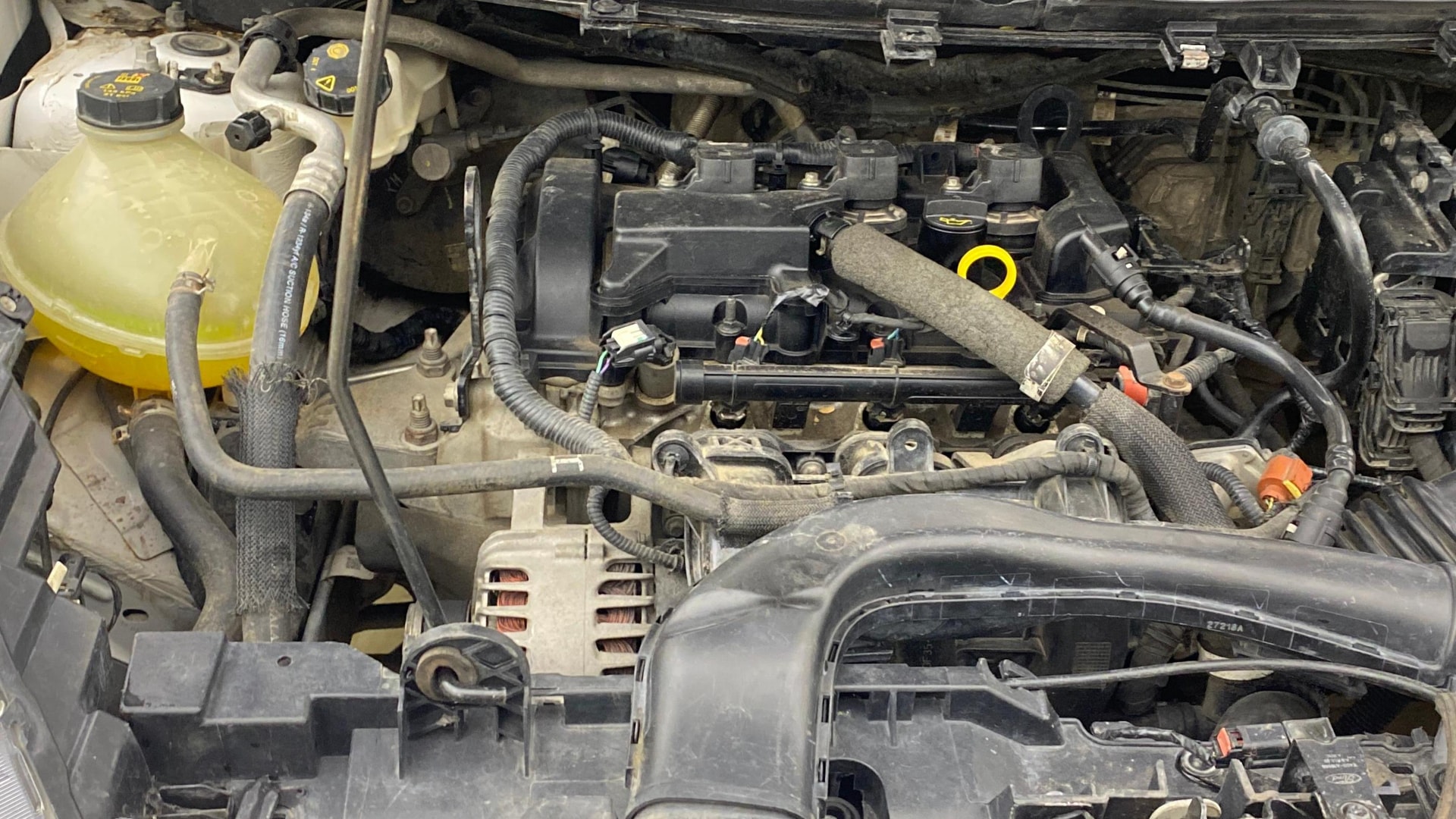 Used 2019 Ford Freestyle Used 2019 Ford Freestyle