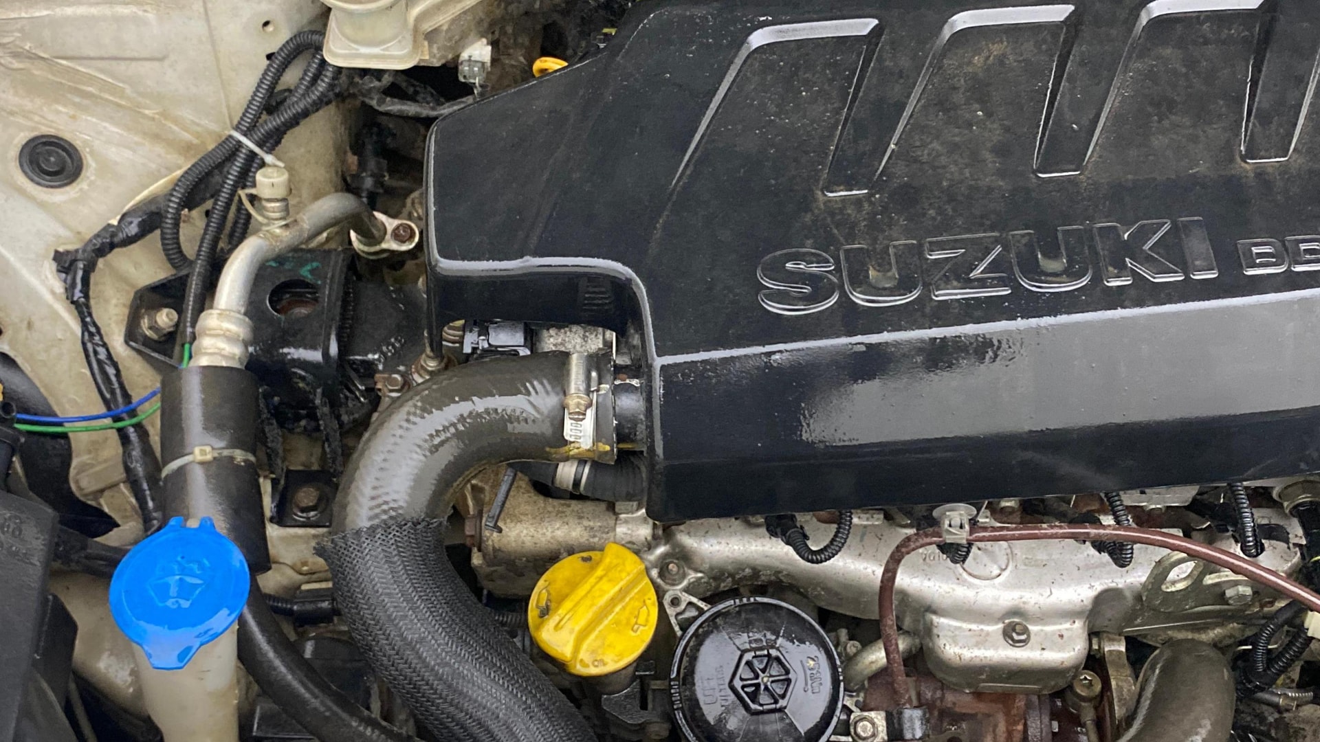 Used 2019 Maruti Suzuki 1000 Used 2019 Maruti Suzuki 1000