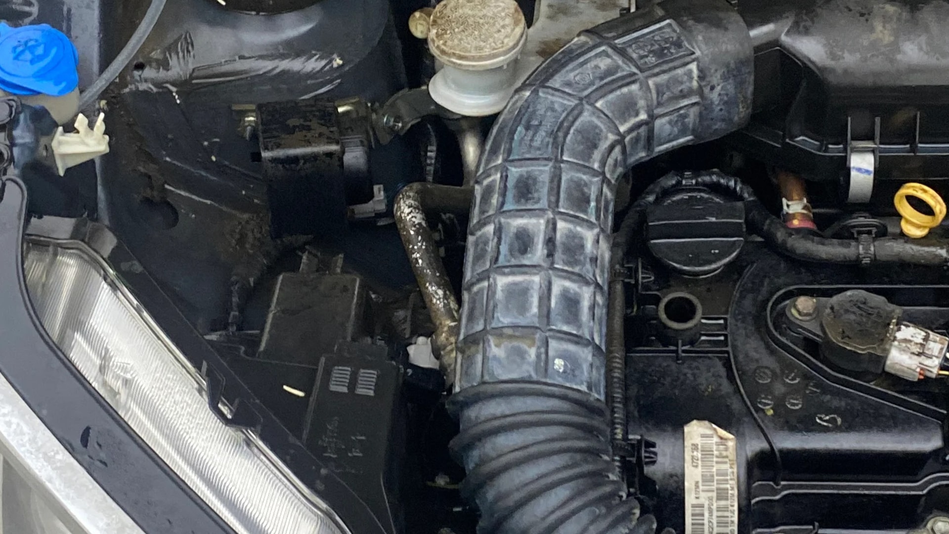 View 2021 Maruti Suzuki 1000 Base Variant Image 4 Used 2021 Maruti Suzuki 1000 Base Variant Image 4