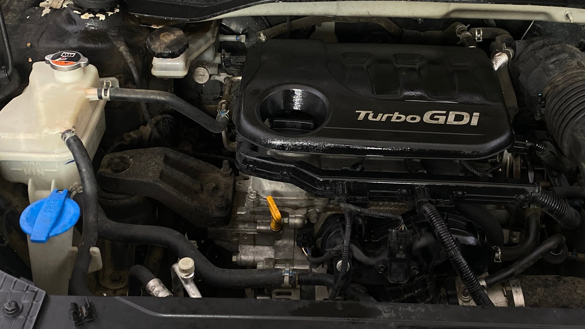 Used 2019 Hyundai Venue Used 2019 Hyundai Venue