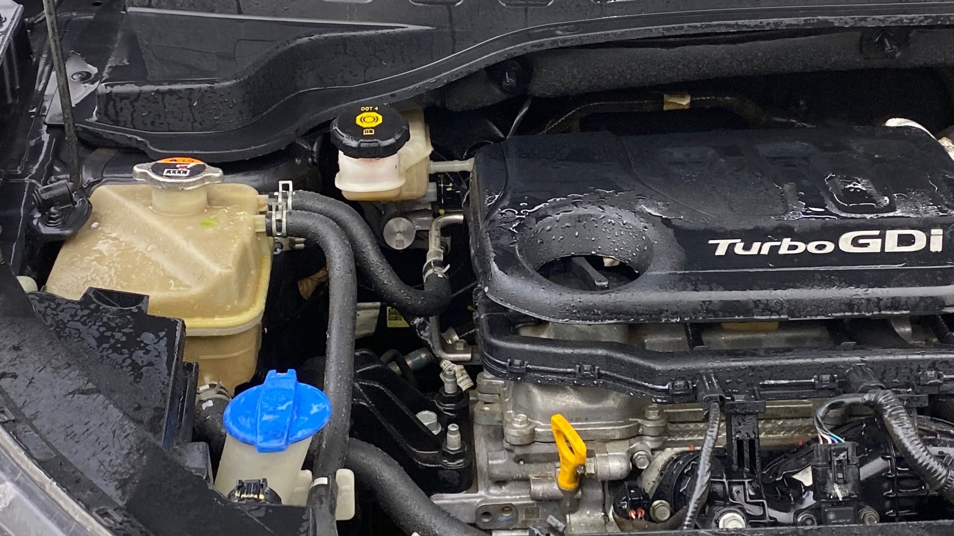 View 2021 Kia Sonet GTX Plus DCT Petrol Image 26 Used 2021 Kia Sonet GTX Plus DCT Petrol Image 26