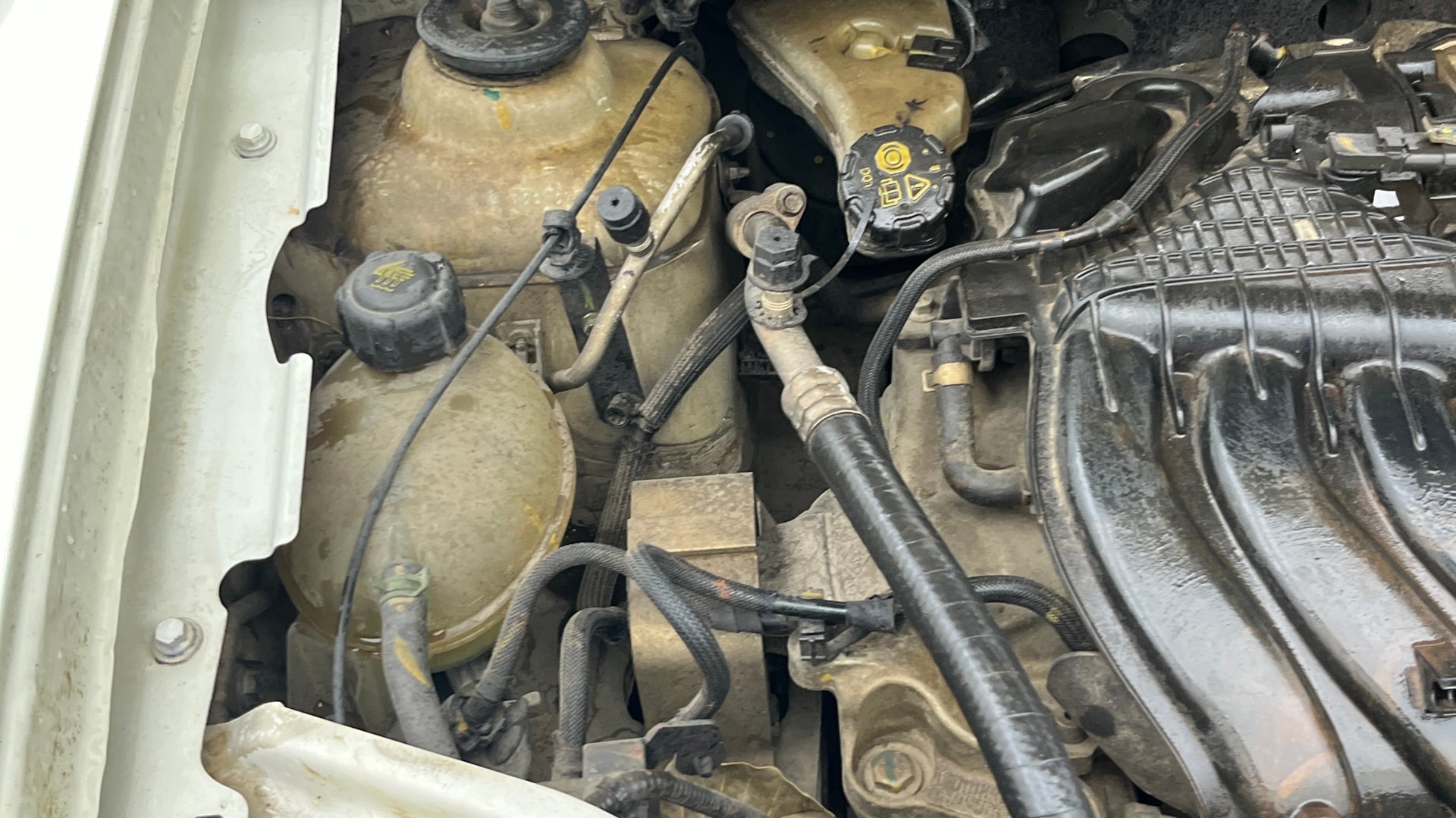 Used 2019 Renault Duster Used 2019 Renault Duster