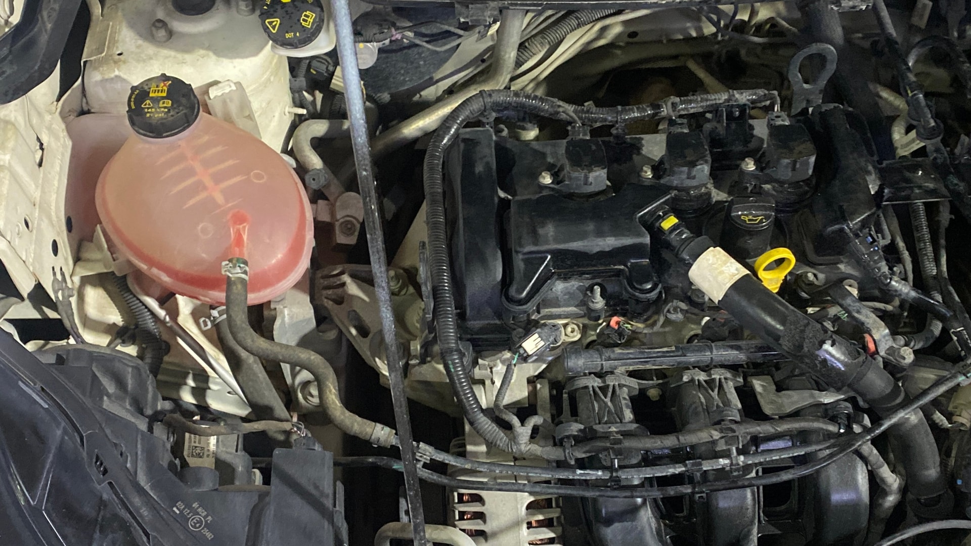 View 2020 Ford EcoSport 1.5 TDCi Diesel Ambiente BS IV Image 3 Used 2020 Ford EcoSport 1.5 TDCi Diesel Ambiente BS IV Image 3