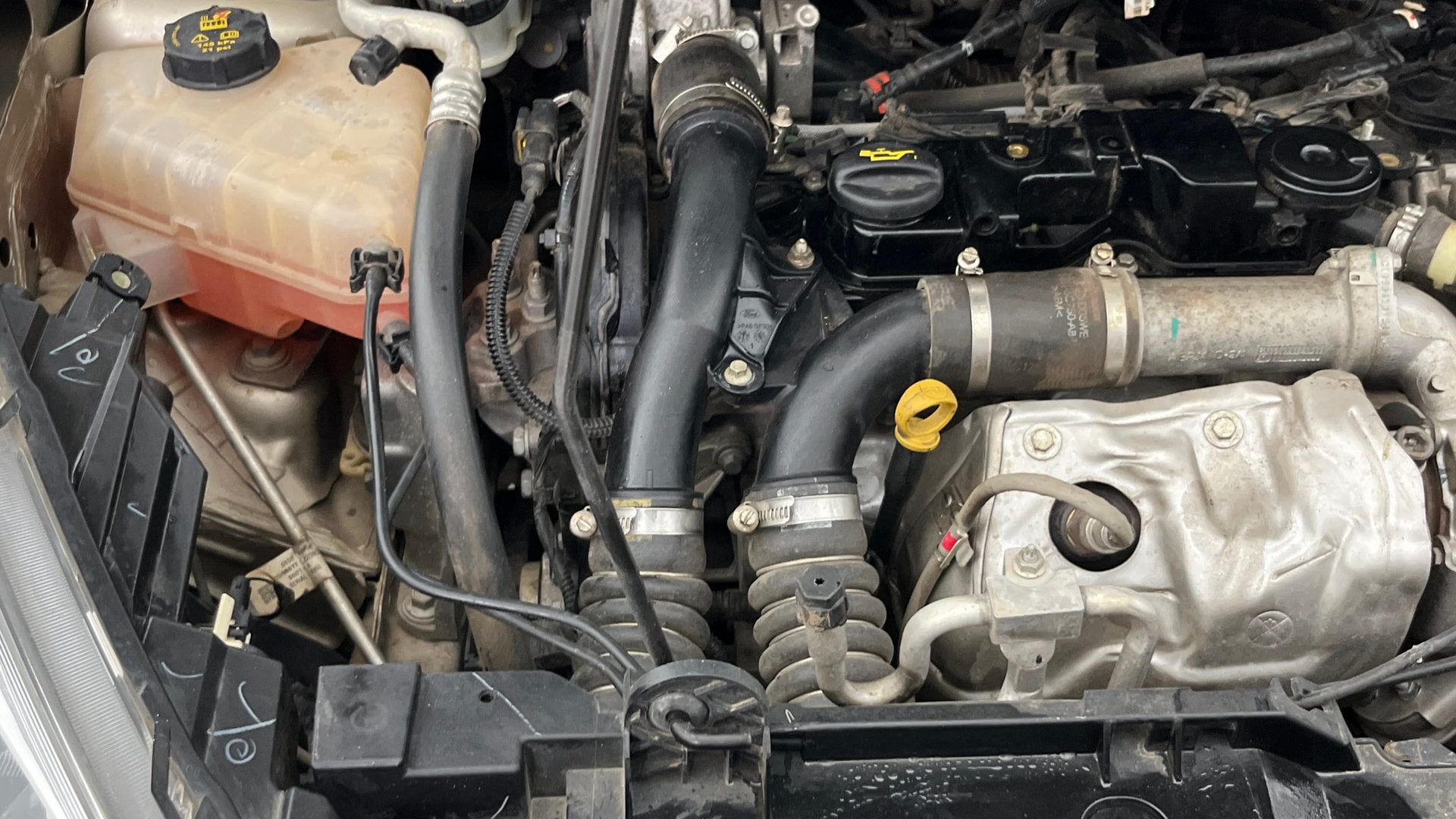 Used 2020 Ford Freestyle Used 2020 Ford Freestyle