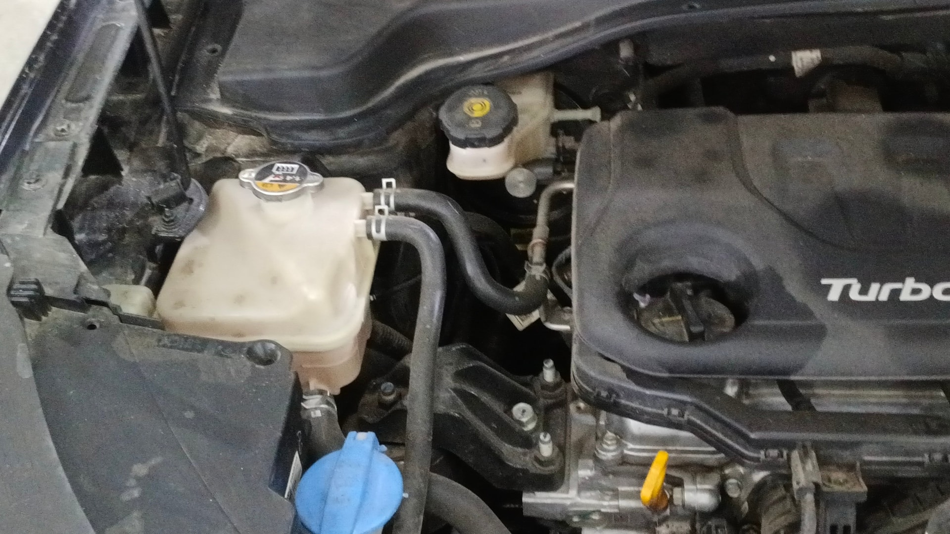 Used 2024 Kia Sonet Used 2024 Kia Sonet