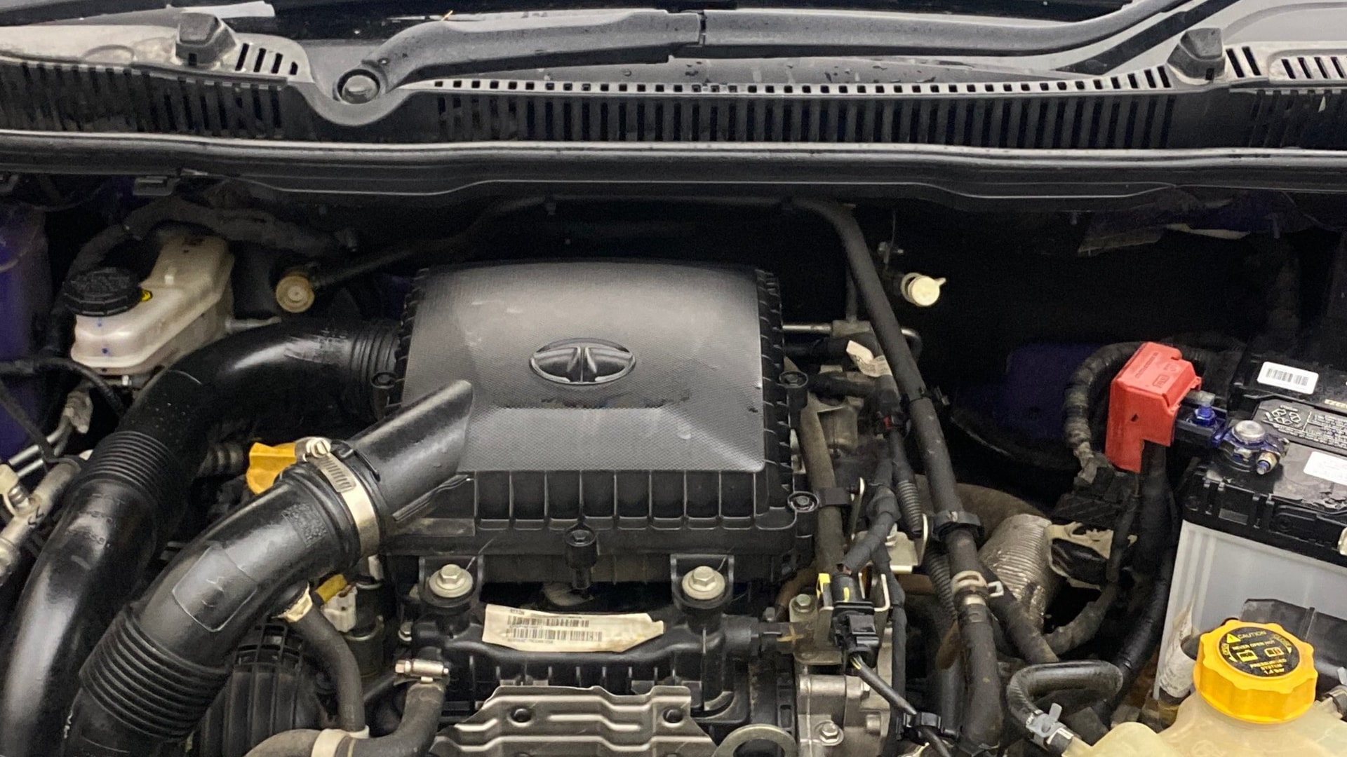 Used 2024 Tata Nexon Used 2024 Tata Nexon