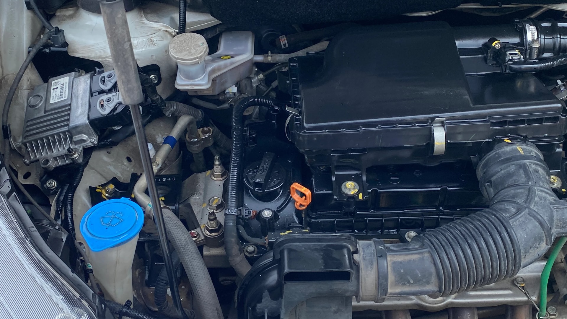 Used 2025 Maruti Suzuki 1000 Used 2025 Maruti Suzuki 1000