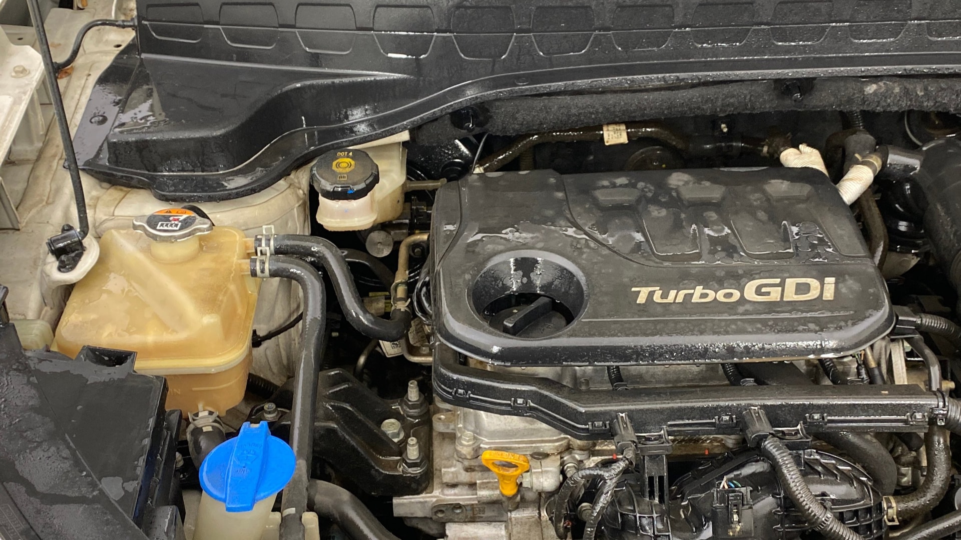 Used 2021 Kia Sonet Used 2021 Kia Sonet