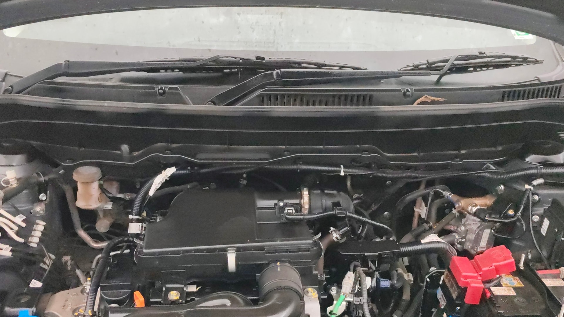 Used 2025 Maruti Suzuki 1000 Used 2025 Maruti Suzuki 1000