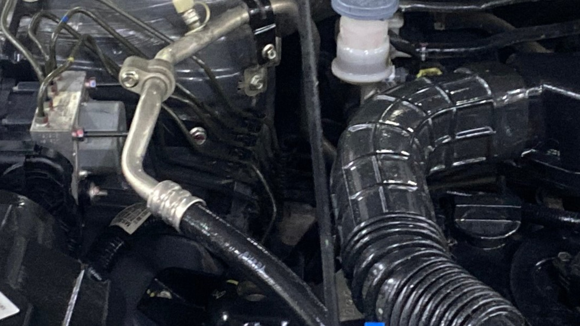 View 2020 Maruti Suzuki 1000 Base Variant Image 3 Used 2020 Maruti Suzuki 1000 Base Variant Image 3