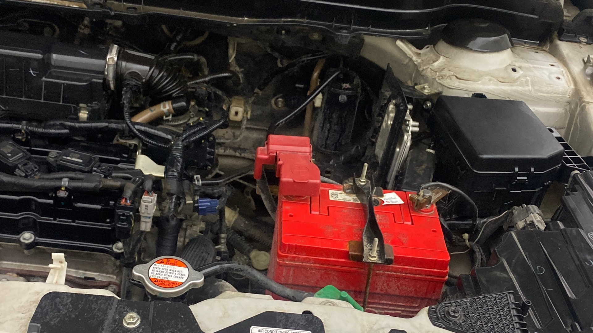 Used 2021 Maruti Suzuki 1000 Used 2021 Maruti Suzuki 1000
