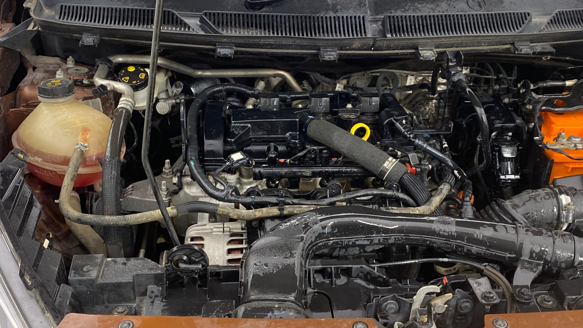 Used 2019 Ford Freestyle Used 2019 Ford Freestyle