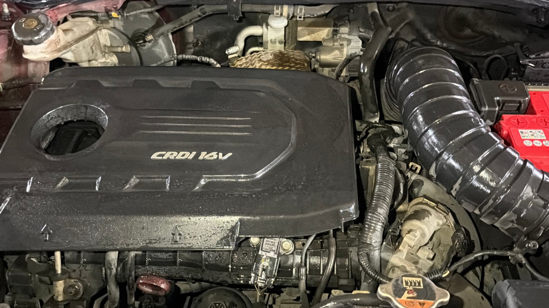 Used 2019 Kia Seltos Used 2019 Kia Seltos