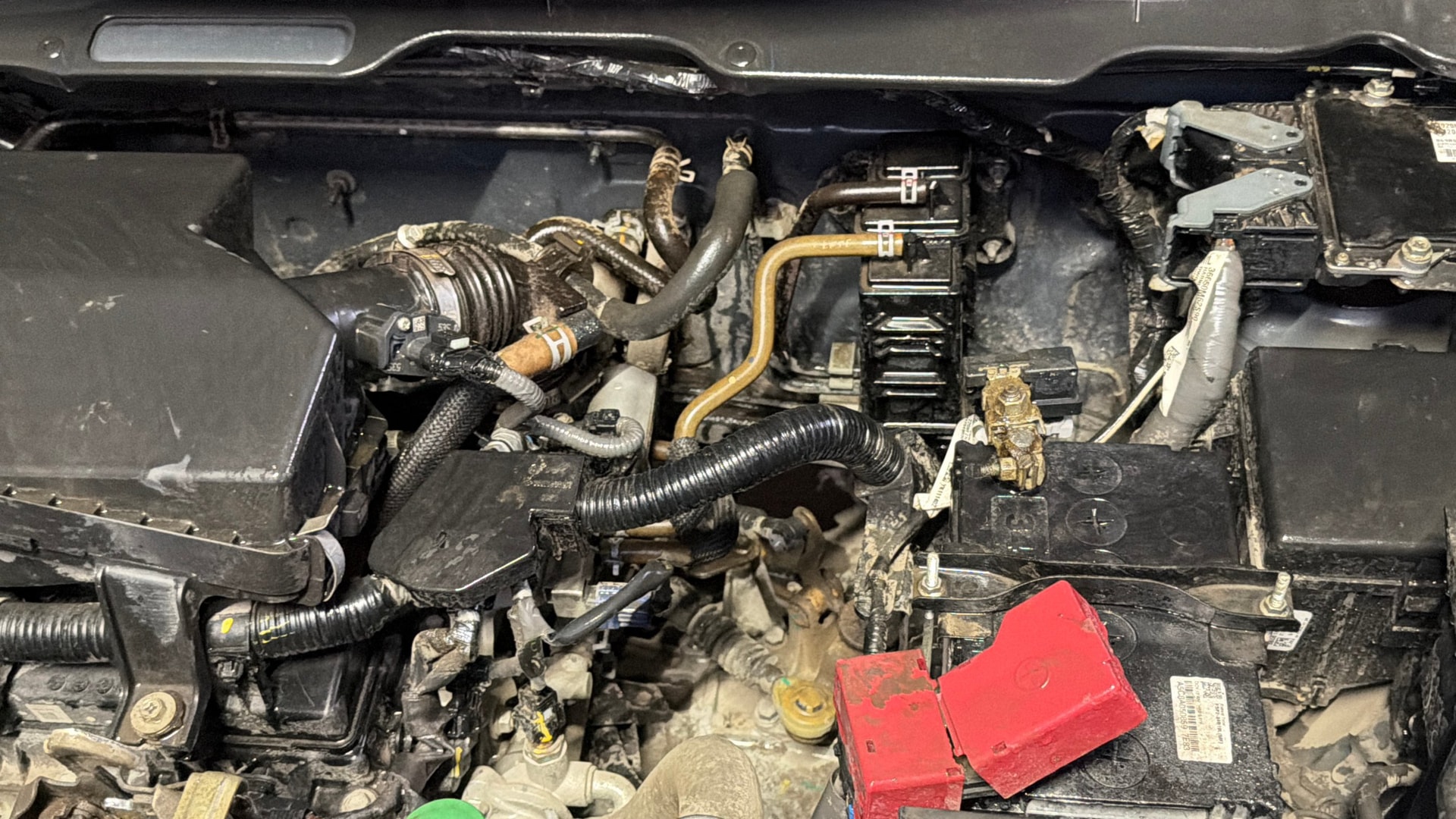 Used 2023 Maruti Suzuki 1000 Used 2023 Maruti Suzuki 1000