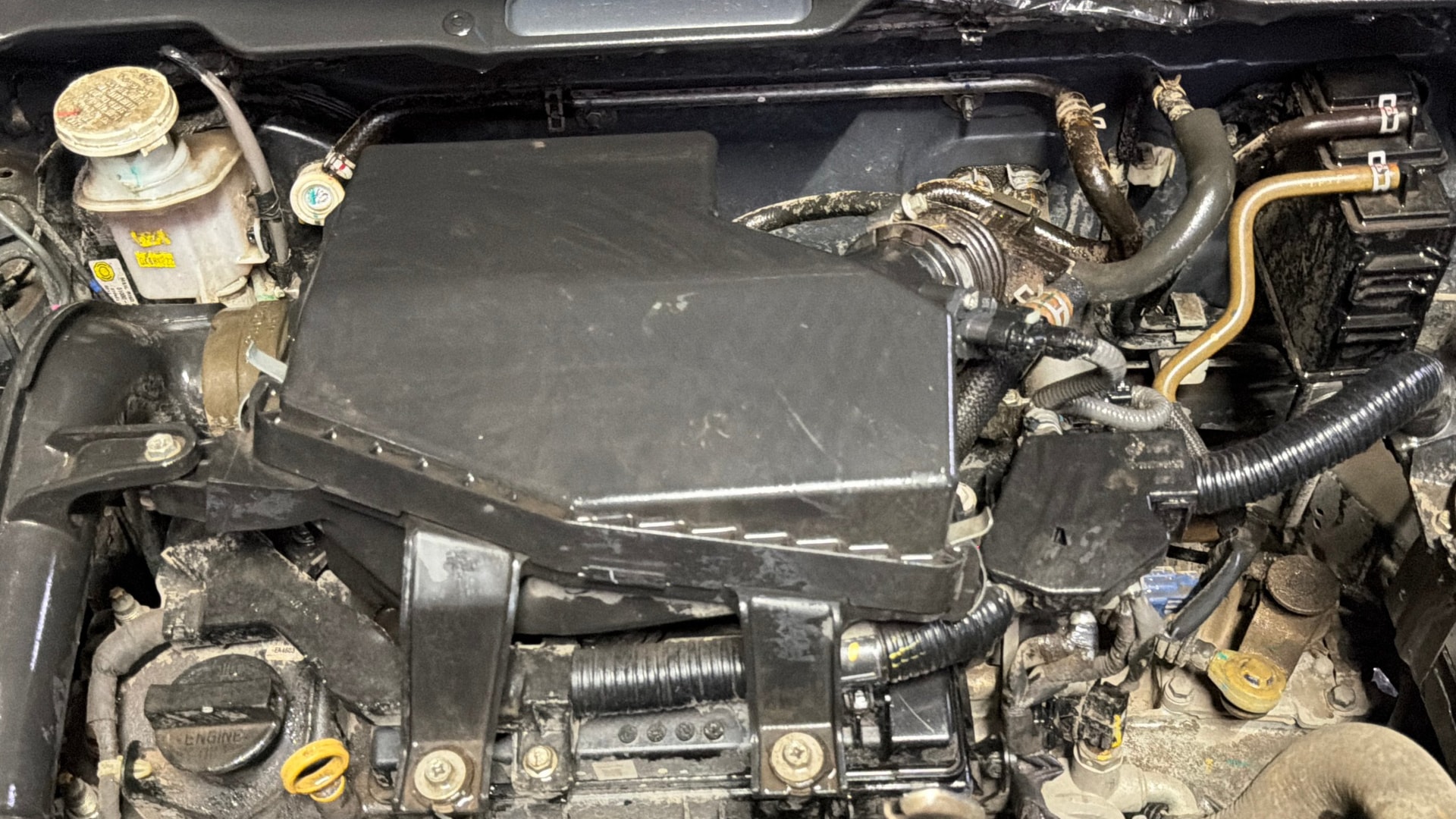 Used 2023 Maruti Suzuki 1000 Used 2023 Maruti Suzuki 1000