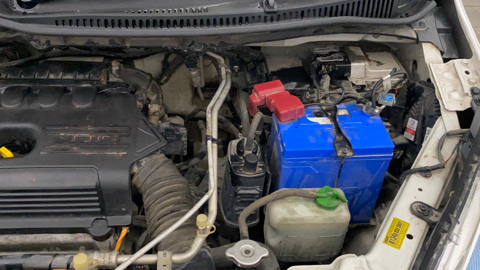 Used 2019 Maruti Suzuki 1000 Used 2019 Maruti Suzuki 1000