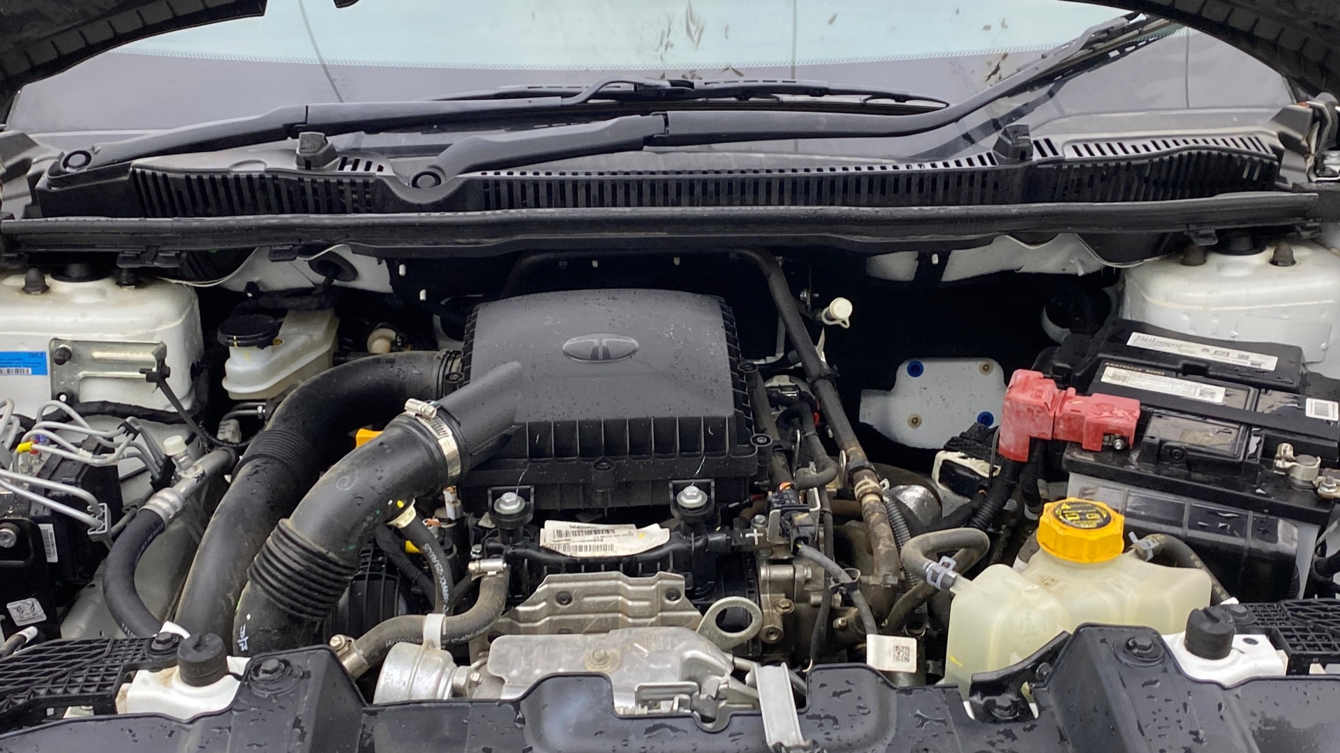 View 2025 Tata Nexon Revotron XE Image 41 Used 2025 Tata Nexon Revotron XE Image 41