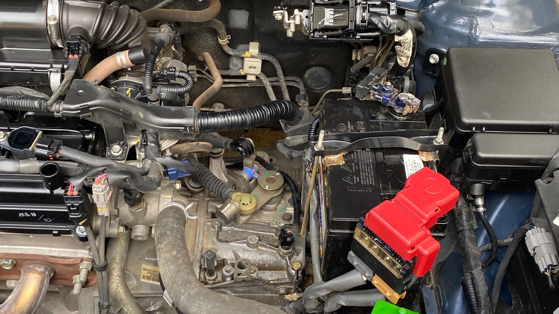 Used 2019 Maruti Suzuki 1000 Used 2019 Maruti Suzuki 1000