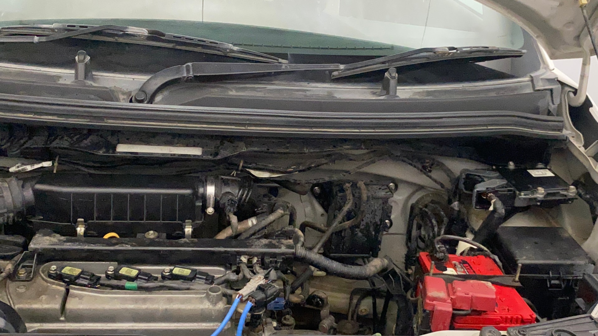 Used 2019 Maruti Suzuki 1000 Used 2019 Maruti Suzuki 1000