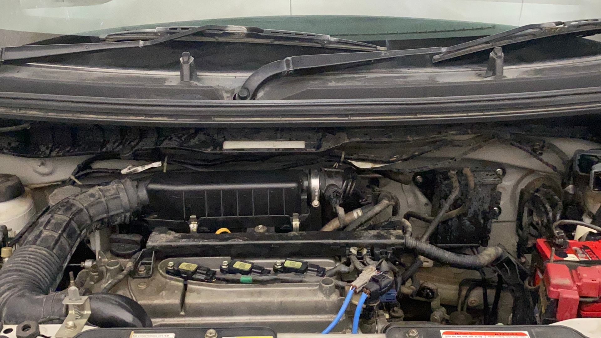 Used 2019 Maruti Suzuki 1000 Used 2019 Maruti Suzuki 1000