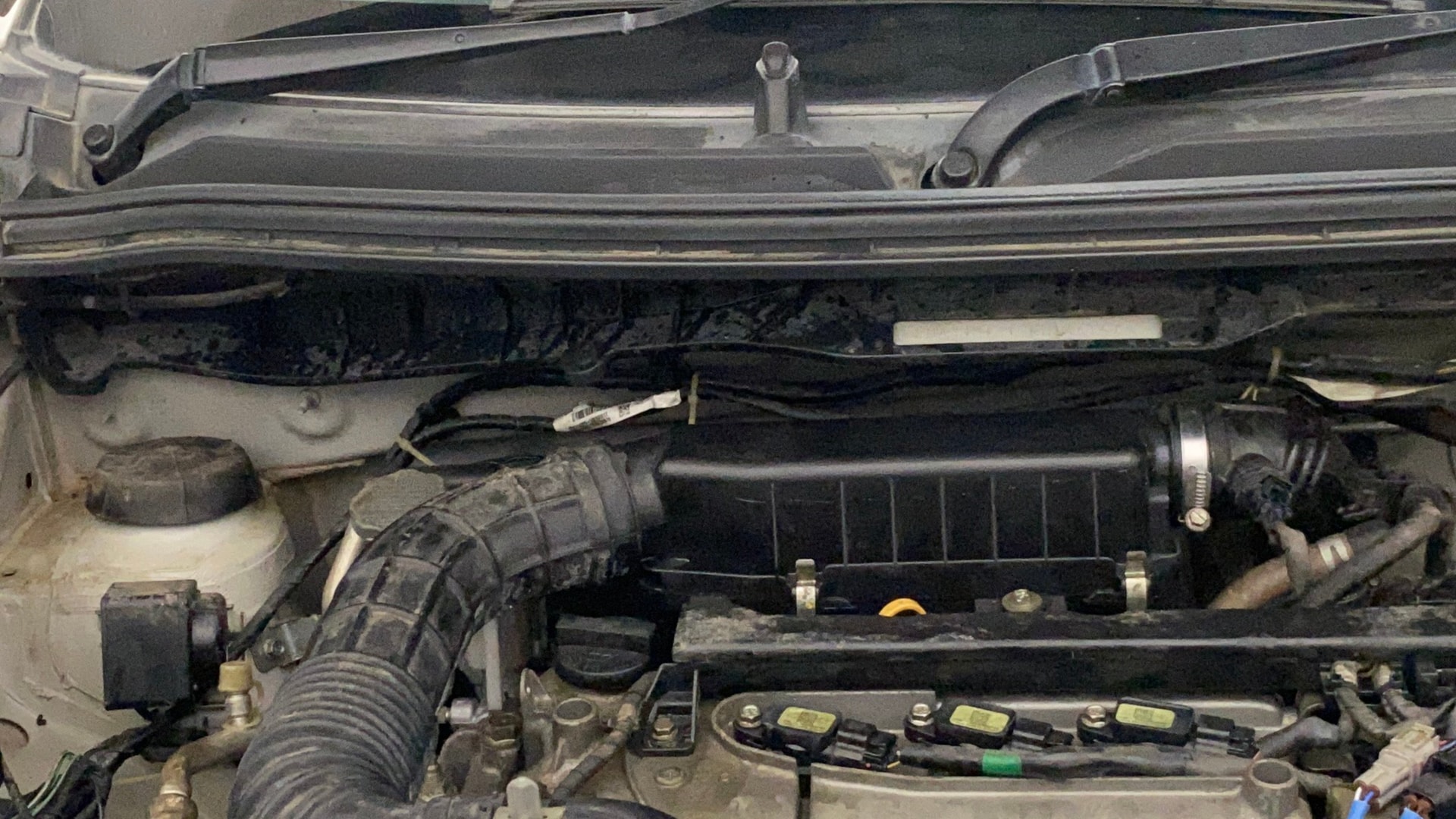 Used 2019 Maruti Suzuki 1000 Used 2019 Maruti Suzuki 1000