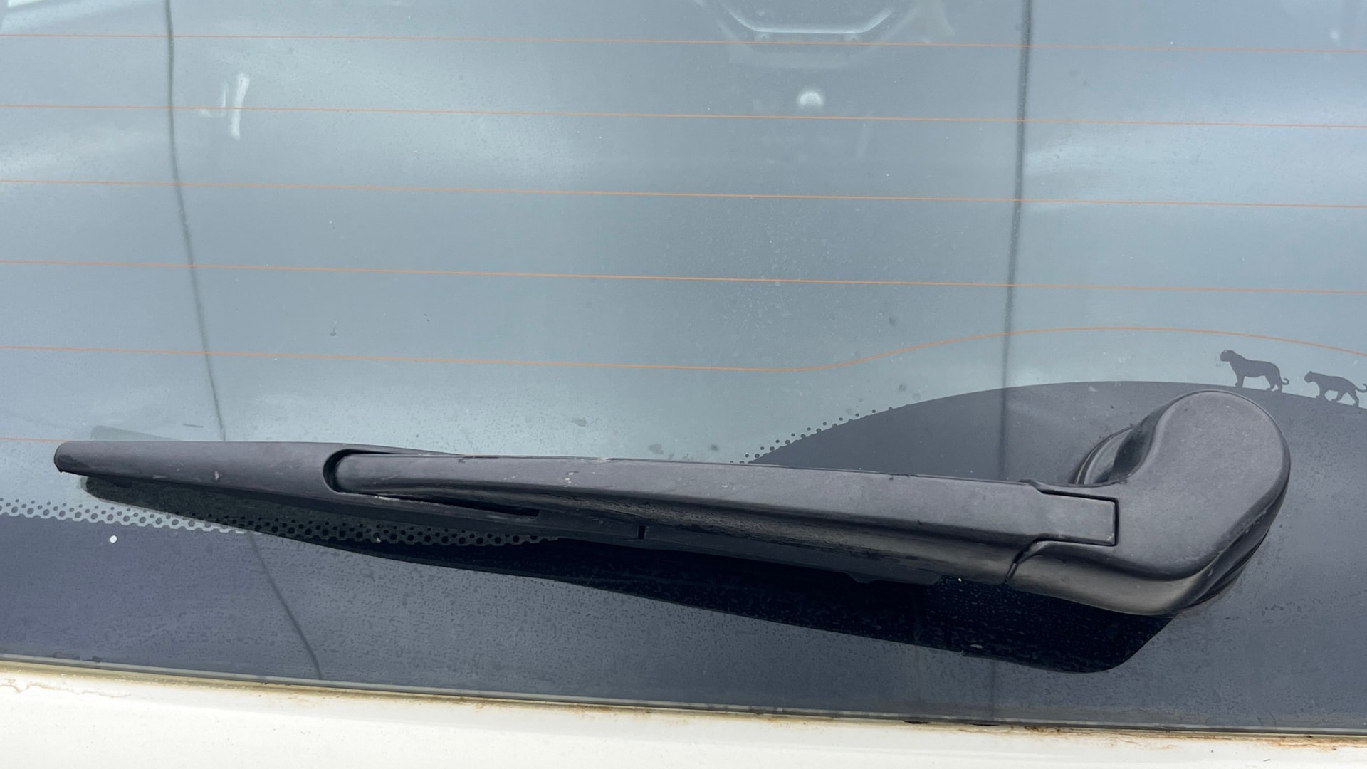 View 2019 Tata Nexon XZ Plus Diesel Image 43 Used 2019 Tata Nexon XZ Plus Diesel Image 43