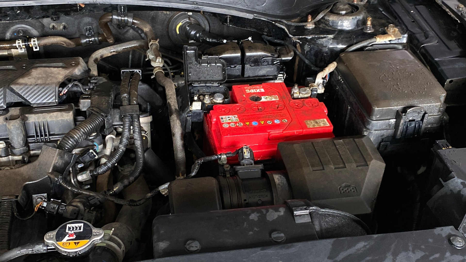 Used 2021 Kia Seltos Used 2021 Kia Seltos