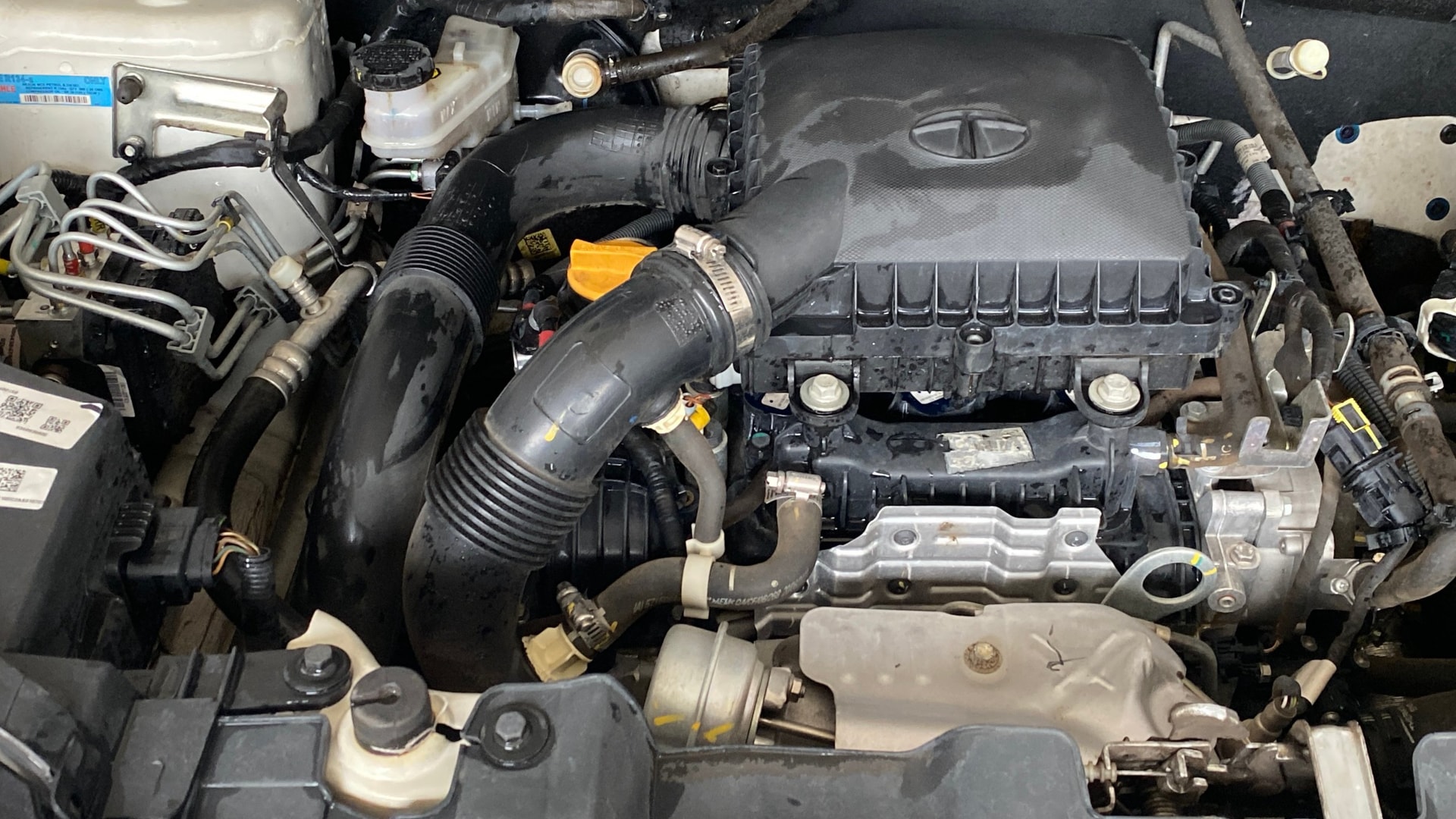 Used 2024 Tata Nexon Used 2024 Tata Nexon