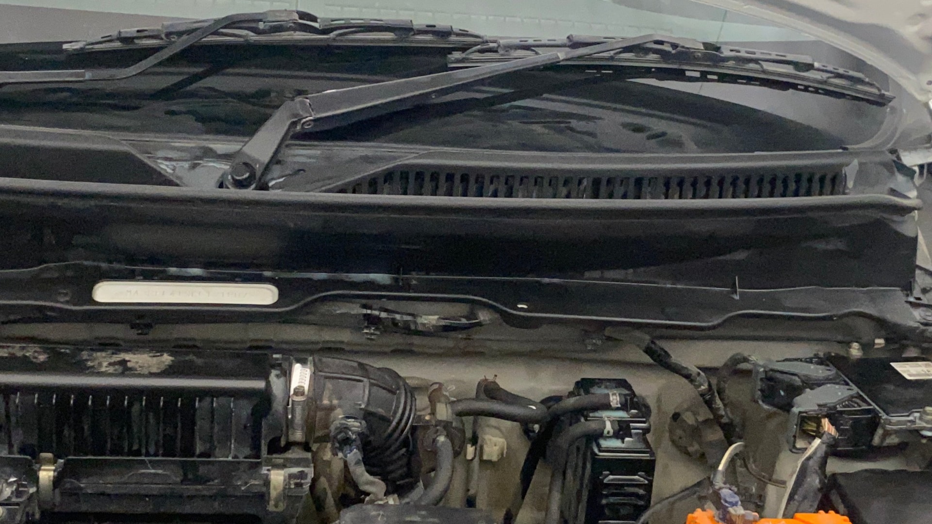 Used 2019 Maruti Suzuki 1000 Used 2019 Maruti Suzuki 1000