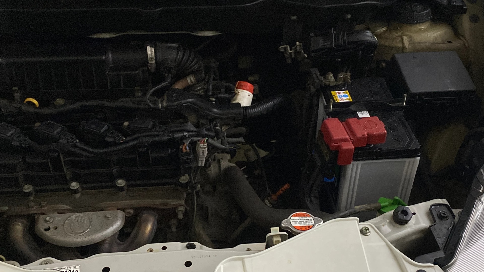 Used 2019 Maruti Suzuki 1000 Used 2019 Maruti Suzuki 1000