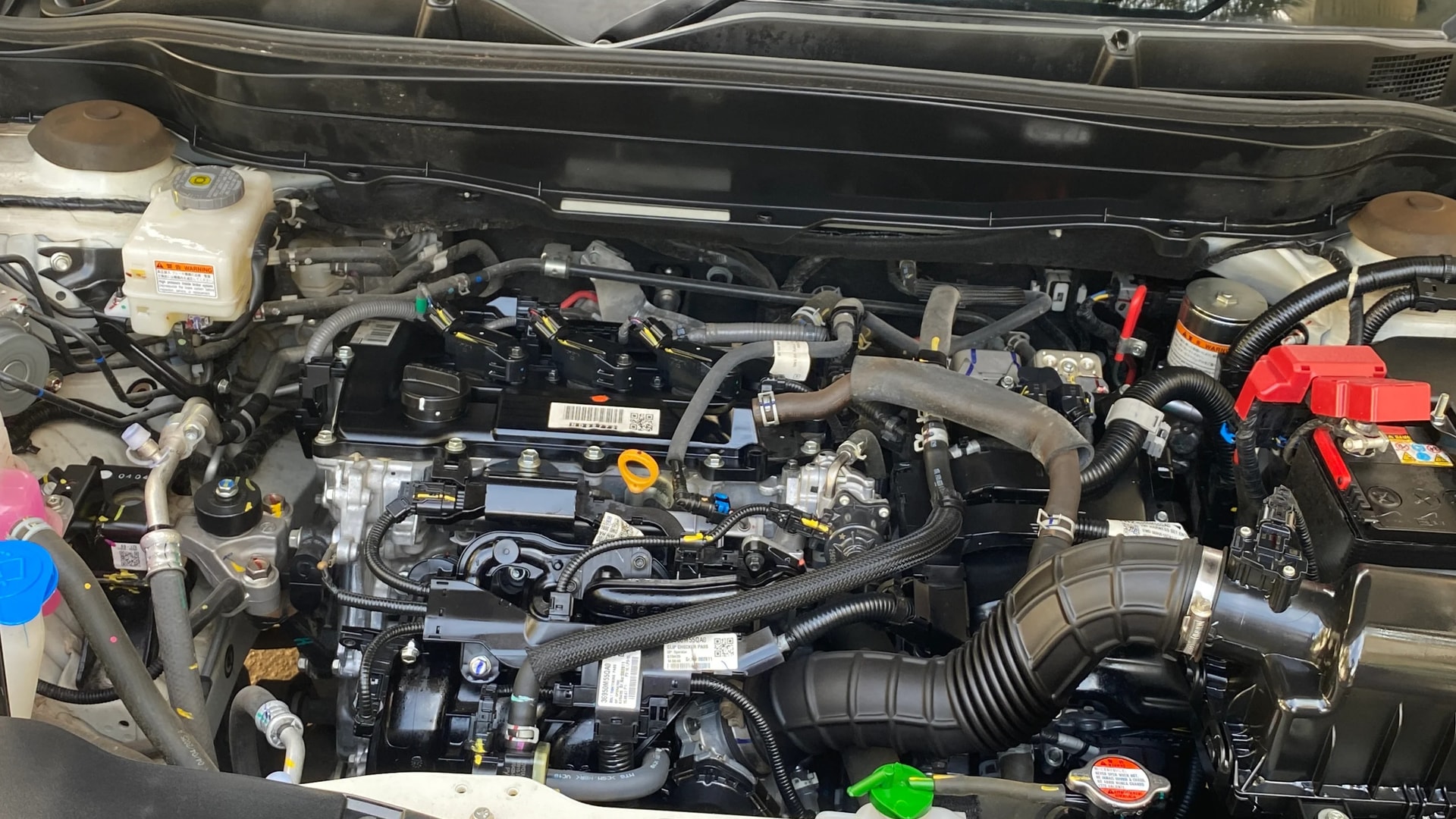 Used 2025 Maruti Suzuki 1000 Used 2025 Maruti Suzuki 1000