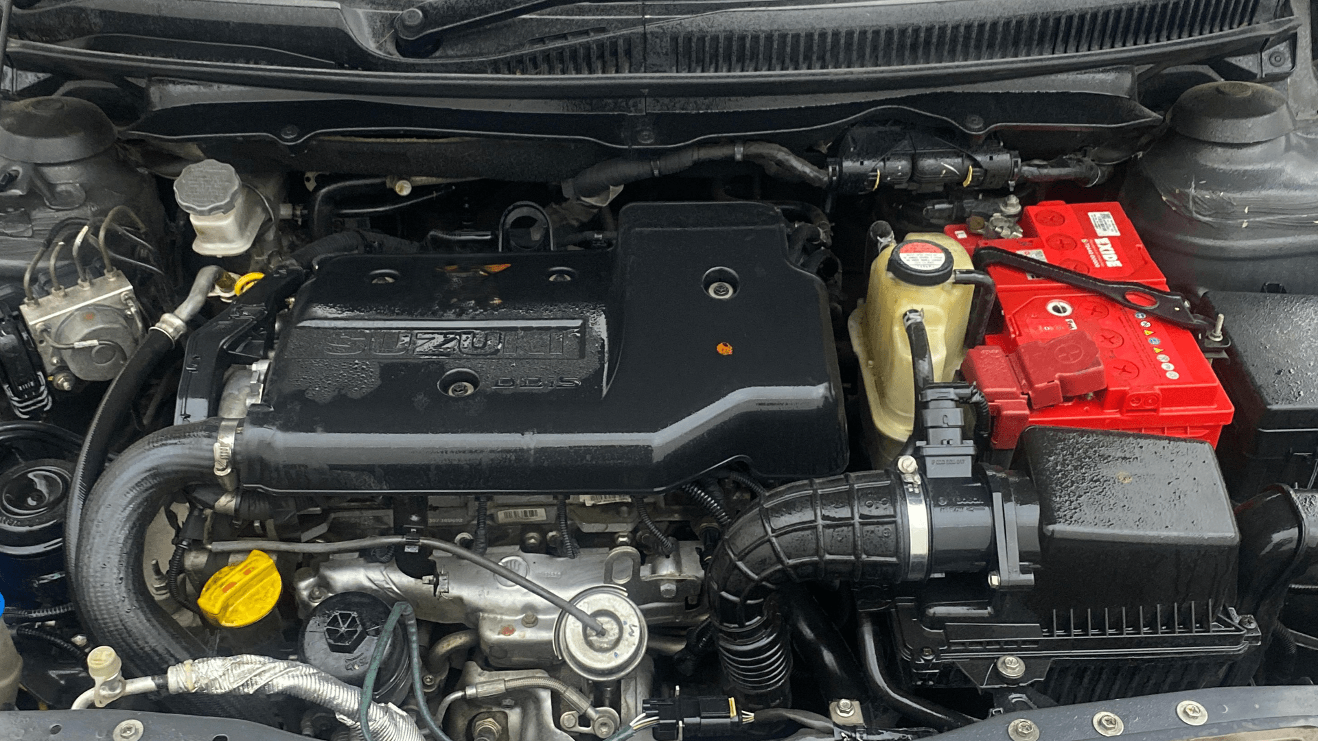 View 2017 Maruti Suzuki 1000 Base Variant Image 42 Used 2017 Maruti Suzuki 1000 Base Variant Image 42