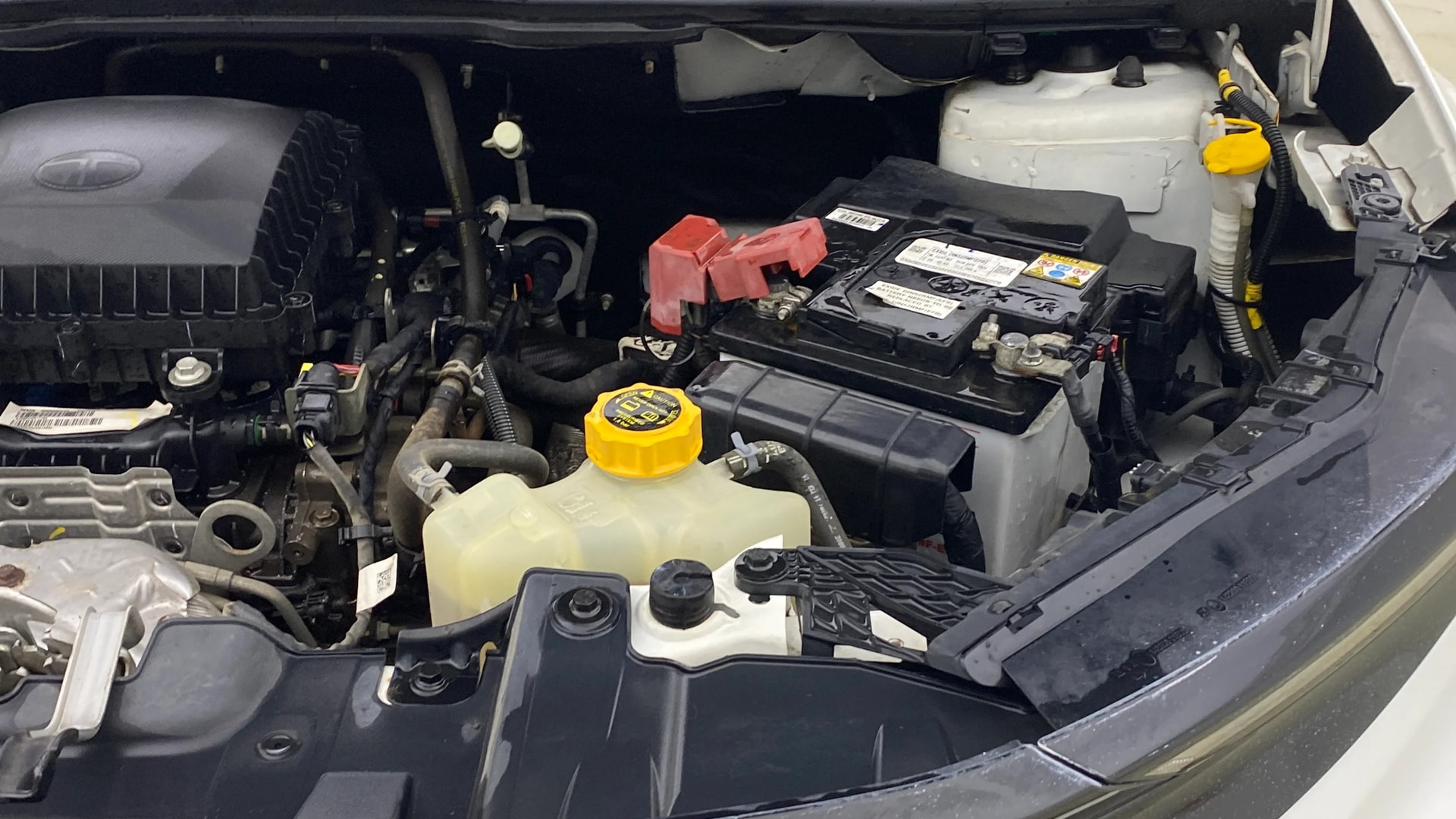 Used 2024 Tata Nexon Used 2024 Tata Nexon