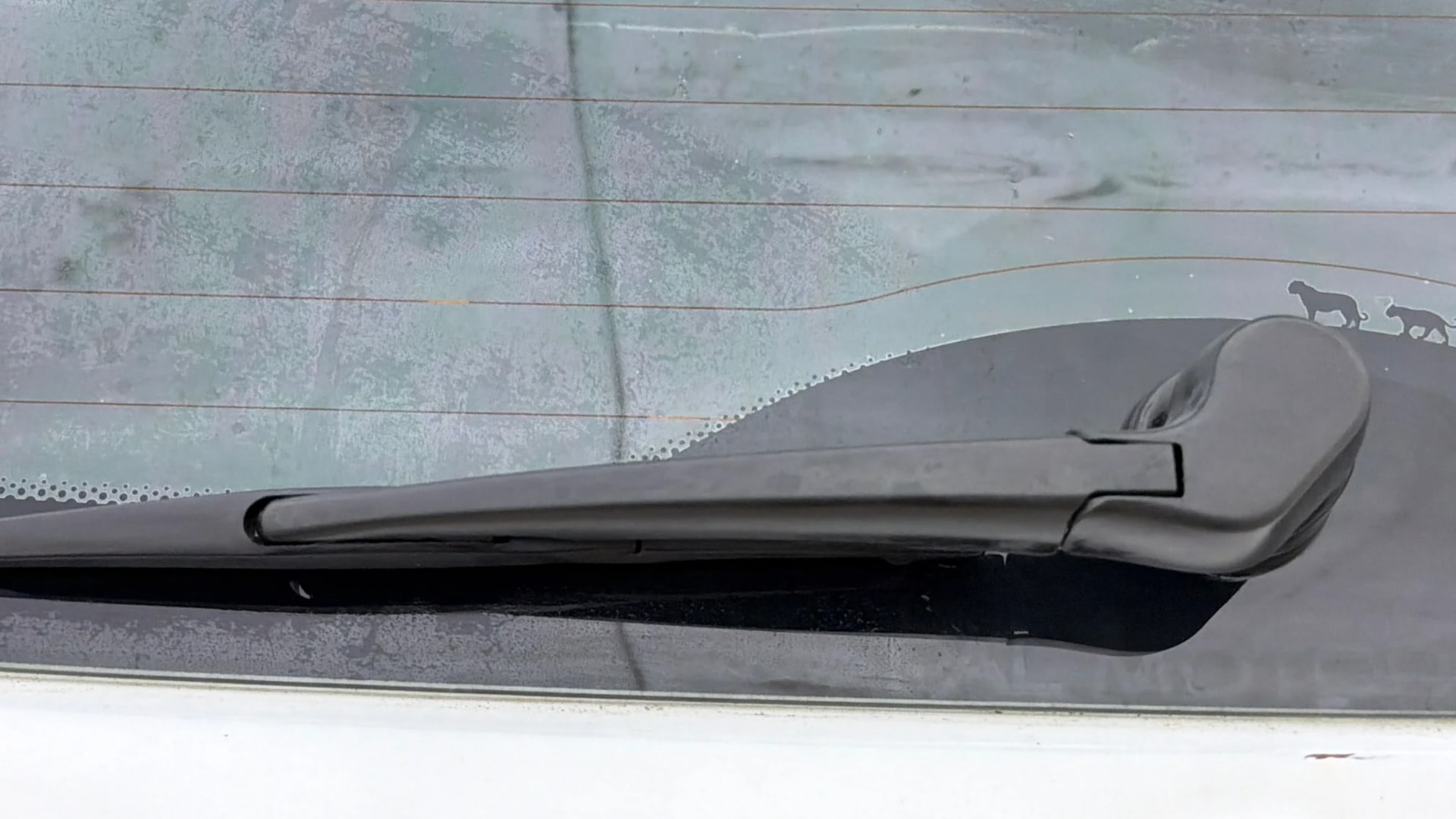 Used 2020 Tata Nexon Used 2020 Tata Nexon
