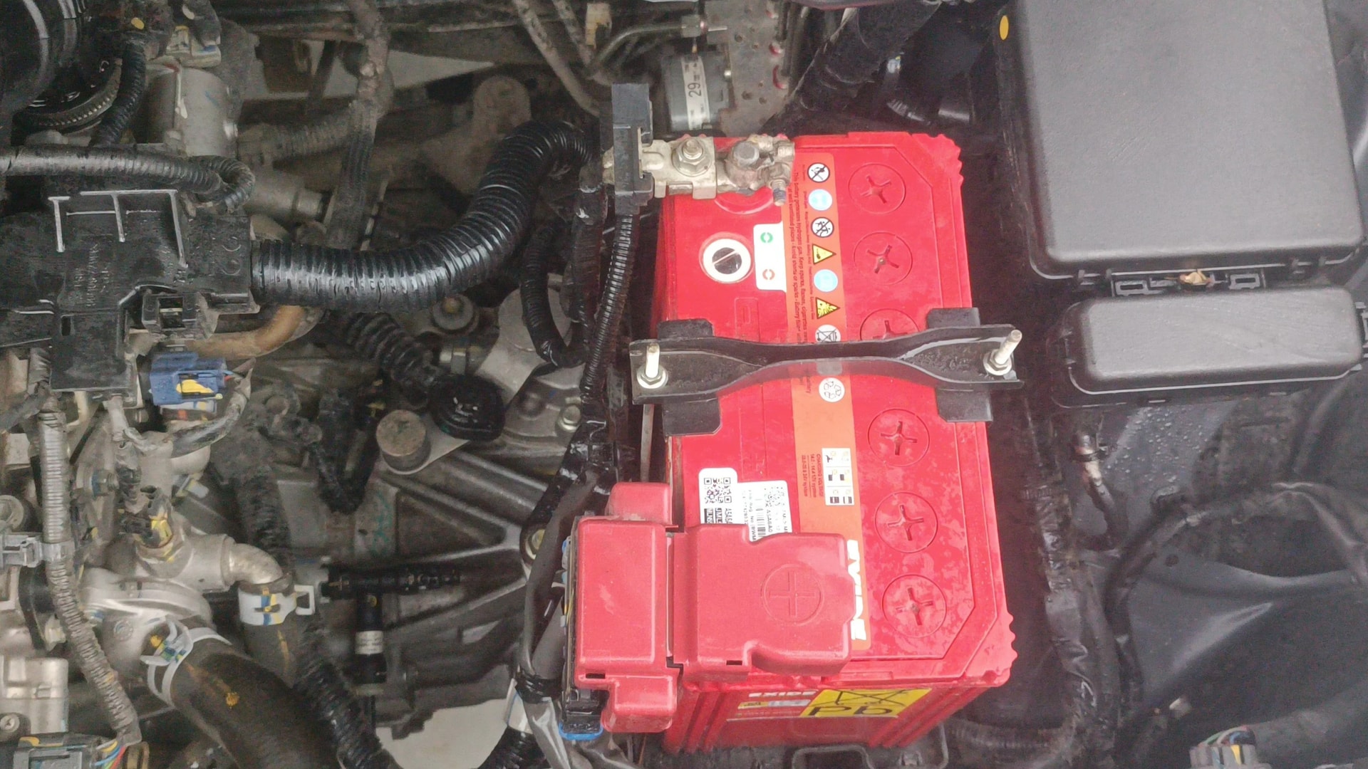 View 2022 Maruti Suzuki 1000 Base Variant Image 31 Used 2022 Maruti Suzuki 1000 Base Variant Image 31